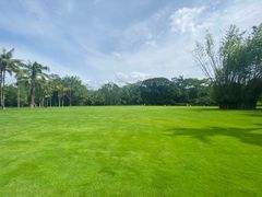 -中国科学院西双版纳热带植物园
