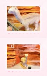 -酷嗒动物文化乐园(cutezoo西溪乐天城店)