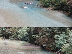 -香格里拉大峡谷巴拉格宗国家级风景名胜区丽江中旅旅游质量服务点