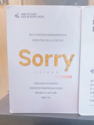-韩国李知恩形象设计