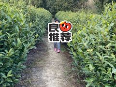 -旺福楼(钱家坞总店)