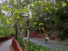 -红花湖景区