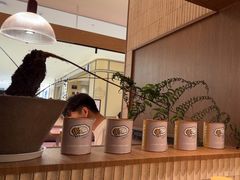 -CURRY YA 熟成咖哩專門店(深圳湾万象城店)