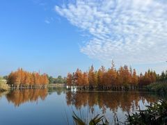 -白鹭湾湿地公园