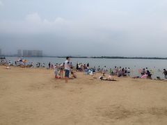 -艾溪湖湿地公园