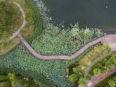 -映月湖公园