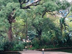 -九龙公园