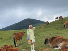 -大姆山草场