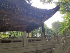 -汇龙潭