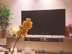 -循礼门鲜花花市(武汉循礼门店)