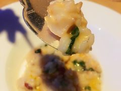 -迪拜帆船酒店海底餐厅