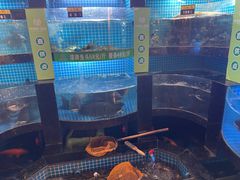 -千岛湖小鱼儿·淳安匠心农家菜