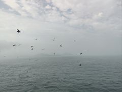 -海驴岛(荣成市)