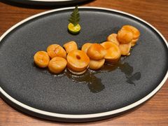 独头蒜拌獐子岛大元贝丁-喜鼎海胆水饺(东港店)
