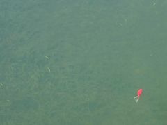 -眉山湿地公园(东坡区)