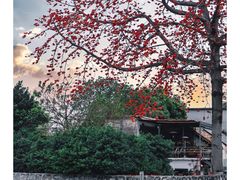 -喜洲吧·江畔老船厂·庭院餐厅(喜临院店)