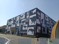 -诸城市恐龙博物馆