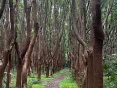 -同里国家湿地公园