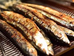 -铃木居酒屋(群星城店)