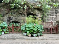 -忠山公园