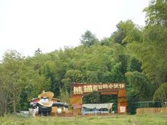 -蜀南竹海景区