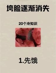 -Fundi张玉珊修身堂·indiba·BTL科技瘦身