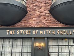 -雪灵魔法世界SHELLY’S TAROT(大良桂畔里店)