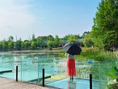 -白鹭湾湿地公园