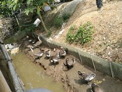 -邹记·美食(斗门店)