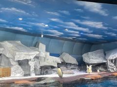 -海合安武汉极地海洋公园
