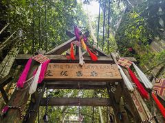 -西双版纳原始森林公园