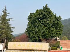 -铁山坪森林公园