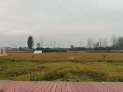 -林间山庄