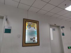 -中国中医科学院望京医院(院本部)
