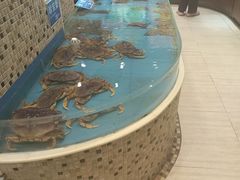-双井轩(双井店)