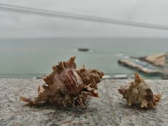 -阿军排档·烧烤
