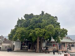 -悦城龙母祖庙