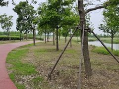 -春花秋色城市公园