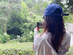 -敬亭山风景名胜区