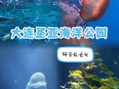-大连圣亚海洋世界