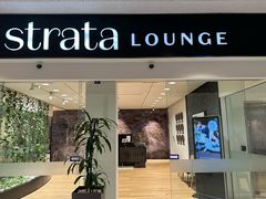 -怀托摩萤火虫洞