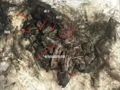 -御面斋精品面馆