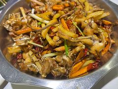 干锅牛蛙-馋嘴蛙火锅