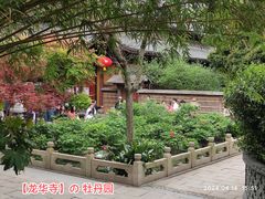 -龙华寺