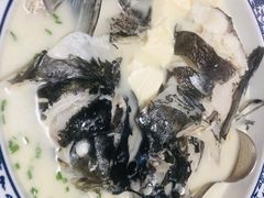 -全乐鱼馆·淳牌有机鱼直营店
