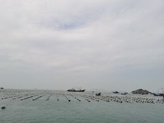 -枸杞岛