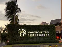 -三亚湾红树林度假世界(木棉酒店)