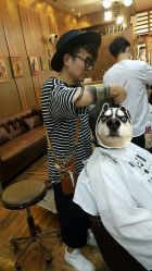 总监组 侯飞  -mood理容店