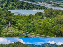 -南丹山森林王国