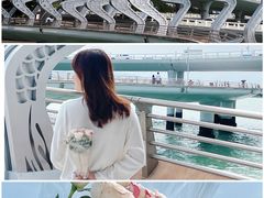 -演武大桥观景平台